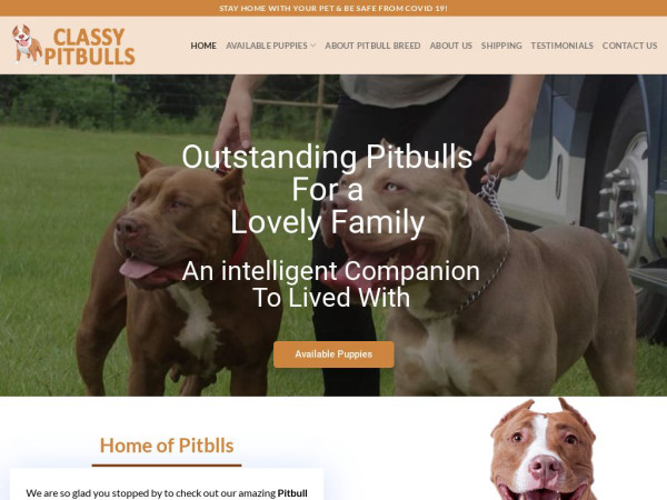 Classypitbulls.com - Pit Bull Puppy Scam Review