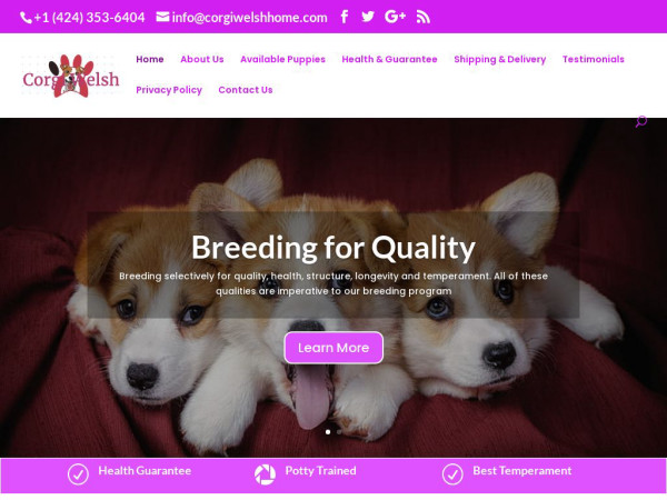 Corgiwelshhome.com - Corgi Puppy Scam Review