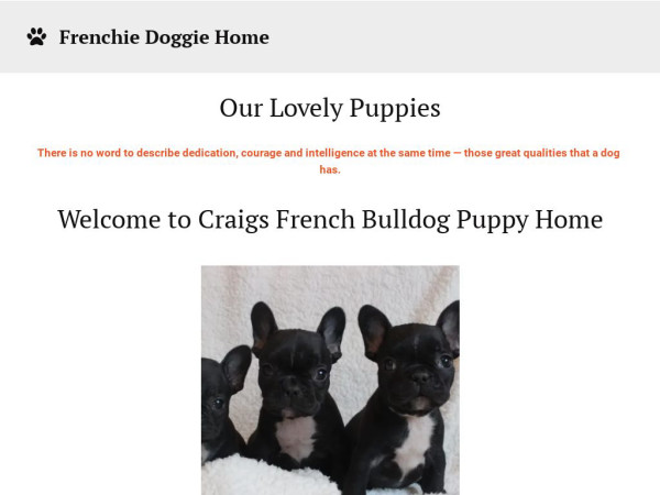 Craigsbulldogs.com - Bulldog Puppy Scam Review