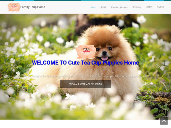 Cutepomshome.com - Pomeranian Puppy Scam Review