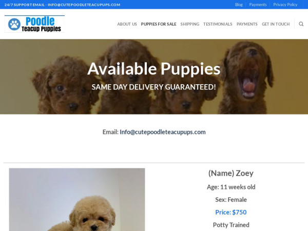 Cutepoodleteacupups.com - Great Dane Puppy Scam Review