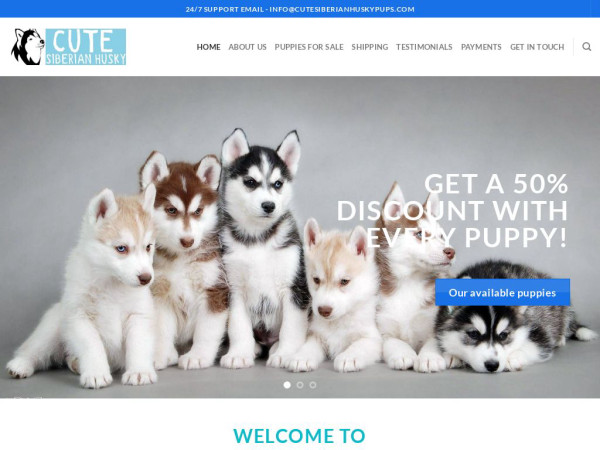 Cutesiberianhuskypups.com - Great Dane Puppy Scam Review