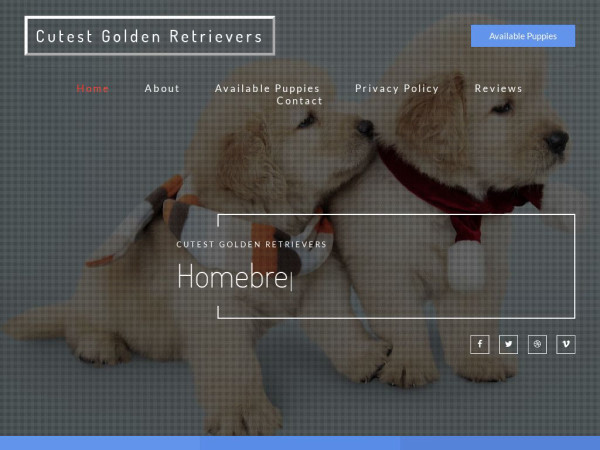 Cutestgoldenretrievers.info - Golden Retriever Puppy Scam Review