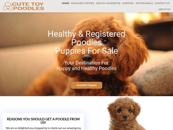 Cutetoypoodle.com - Poodle Puppy Scam Review