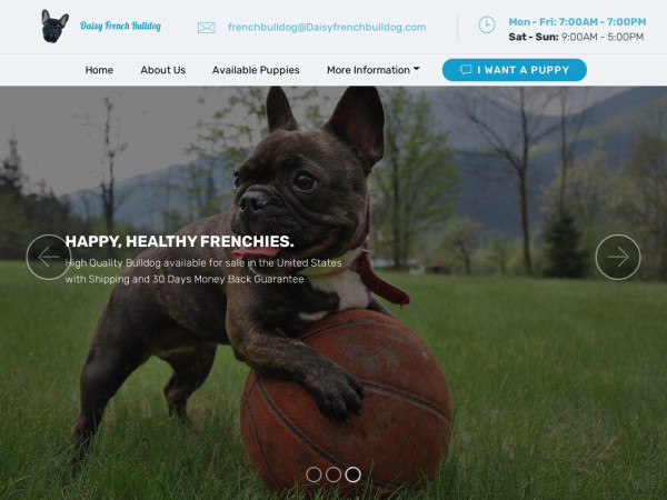 Daisyfrenchbulldog.com - French Bulldog Puppy Scam Review