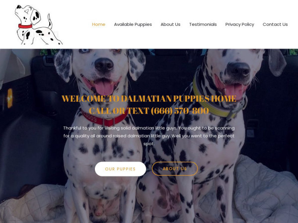 Dalmatianpuppieshome.com - Labrador Puppy Scam Review