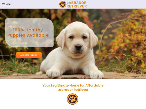 Dannylabradorretrieverpups.com - Golden Retriever Puppy Scam Review