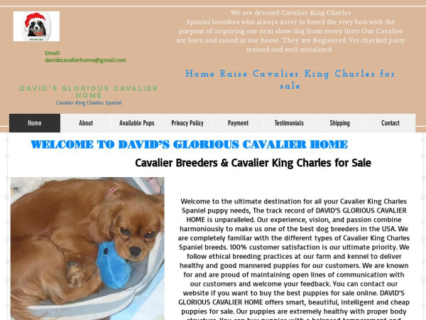 Davidsgloriouscavalierhome.com - Cavalier King Charles Spaniel Puppy Scam Review