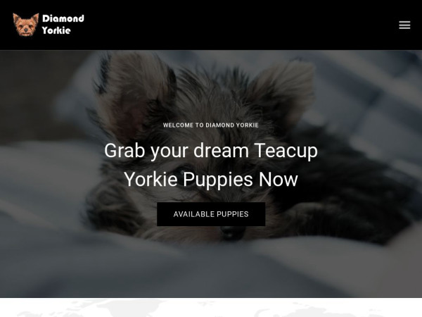 Diamondyorkie.com - Terrier Puppy Scam Review