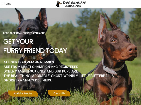 Doberman-puppyhome.com - Doberman Pinscher Puppy Scam Review