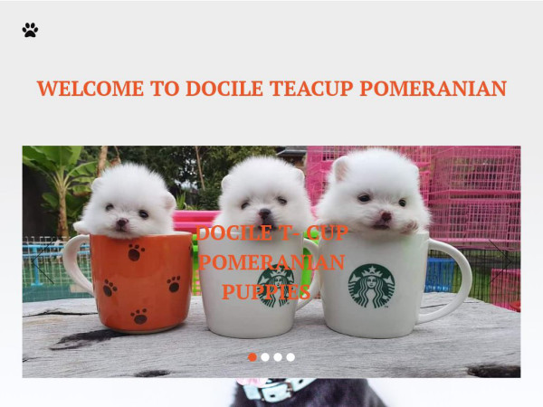 Dociletcuppomeranian.com - Pomeranian Puppy Scam Review