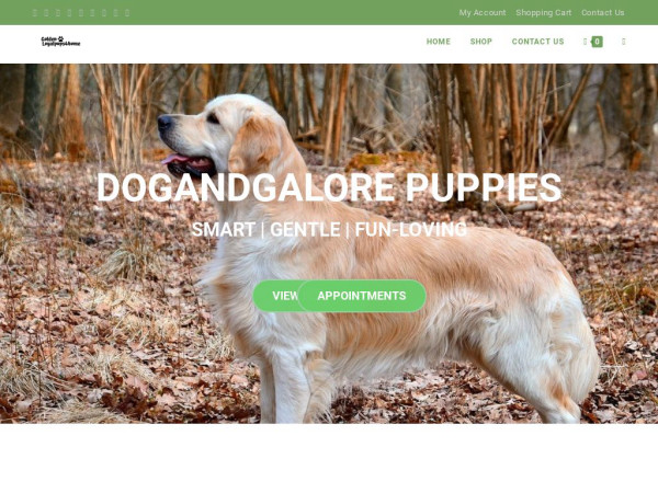 Doglandgalore.com - Golden Retriever Puppy Scam Review