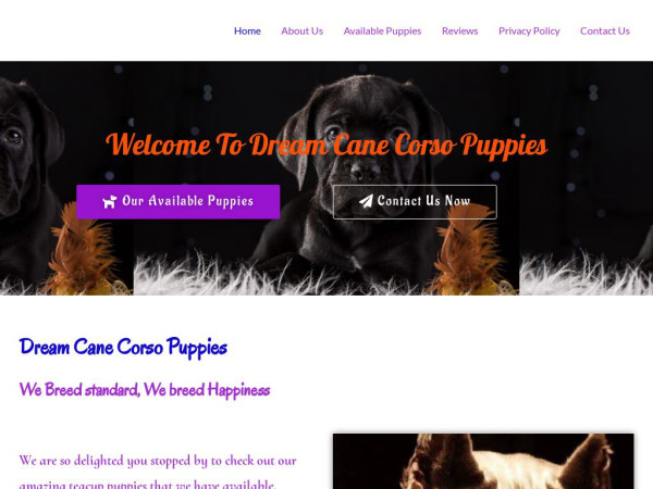 Dreamcanecorsopuppies.com - Cane Corso Puppy Scam Review