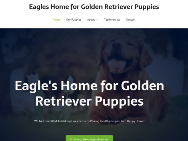 Eagleshomeforgoldenretrieverpuppies.com - Golden Retriever Puppy Scam Review