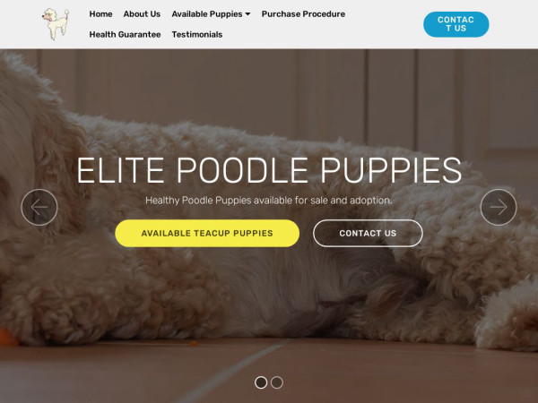 Elitepoodlepuppies.com - Poodle Puppy Scam Review