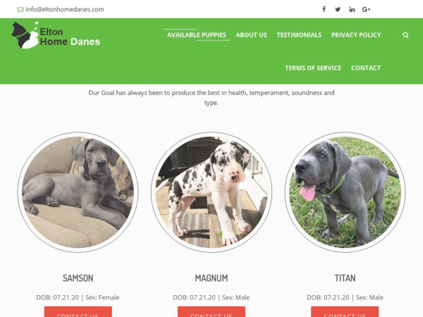 Eltonhomedanes.com - Great Dane Puppy Scam Review