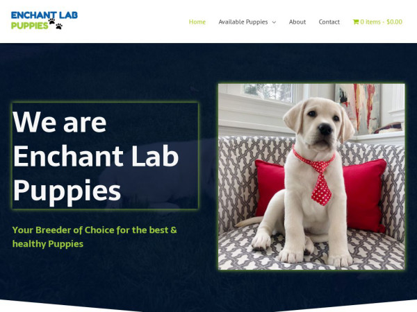 Enchantlabpuppies.com - Labrador Puppy Scam Review