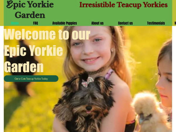 Epicyorkiepups.com - Yorkshire Terrier Puppy Scam Review