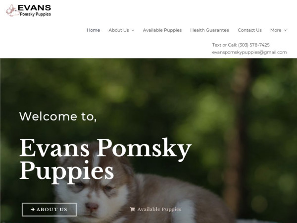 Evanspomskypuppies.com - Pomeranian Puppy Scam Review