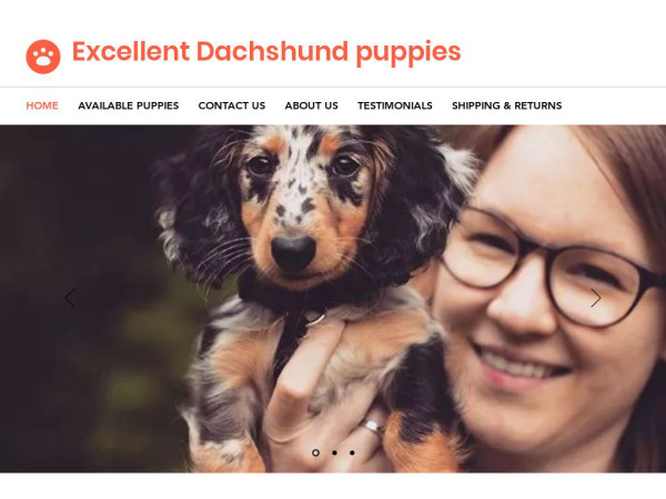 Excellentdachshundpuppies.com - Dachshund Puppy Scam Review