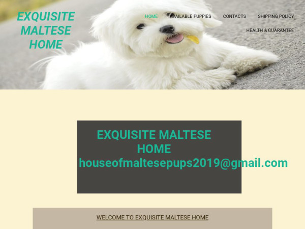 Exquisitemaltesepups.com - Maltese Puppy Scam Review