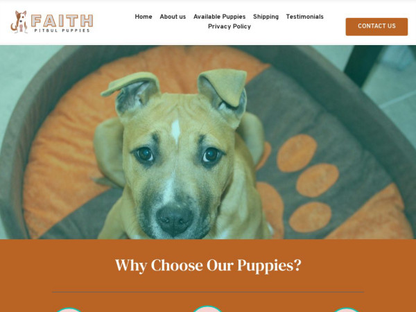 Faithpitbullpuppieshome.com - Pit Bull Puppy Scam Review