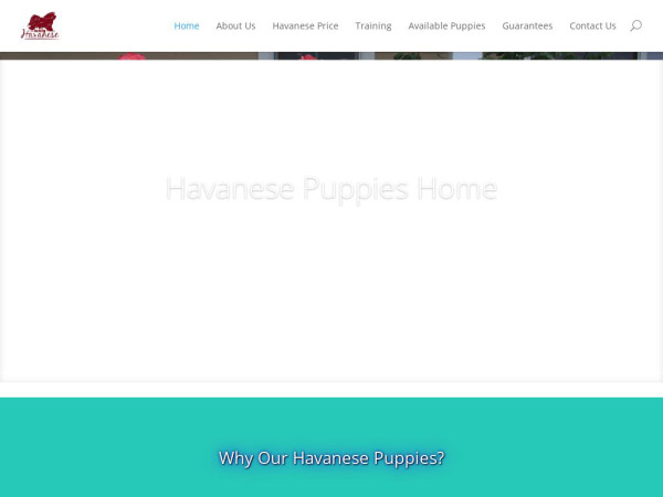 Familycompanionhavanese.com - Havanese Puppy Scam Review