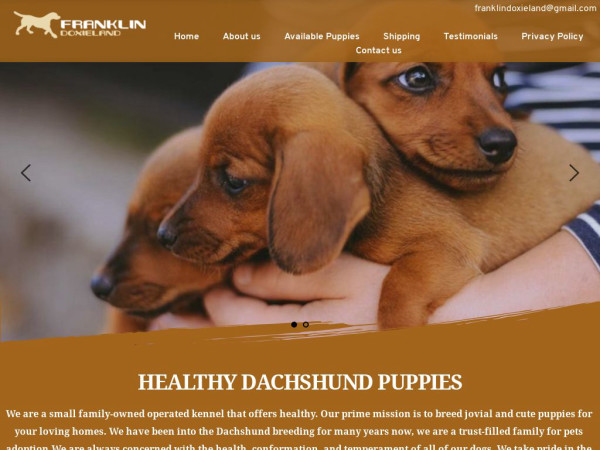 Franklindoxieland.com - Dachshund Puppy Scam Review