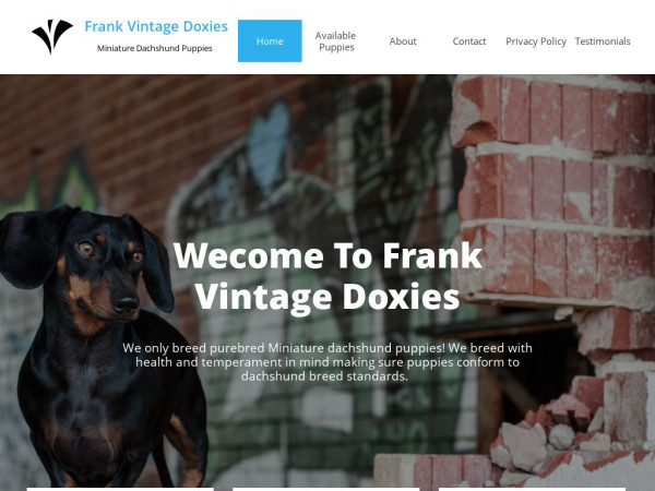 Frankvintagedoxie.com - Dachshund Puppy Scam Review