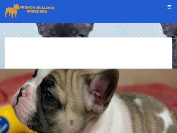 Frenchbulldogsbreeders.com - French Bulldog Puppy Scam Review