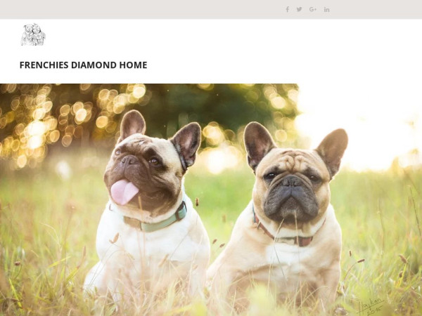 Frenchiesdiamondpups.net - French Bulldog Puppy Scam Review