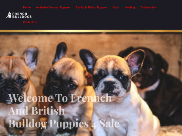 Frennchandbritishbulldogpuppies4sale.com - Bulldog Puppy Scam Review