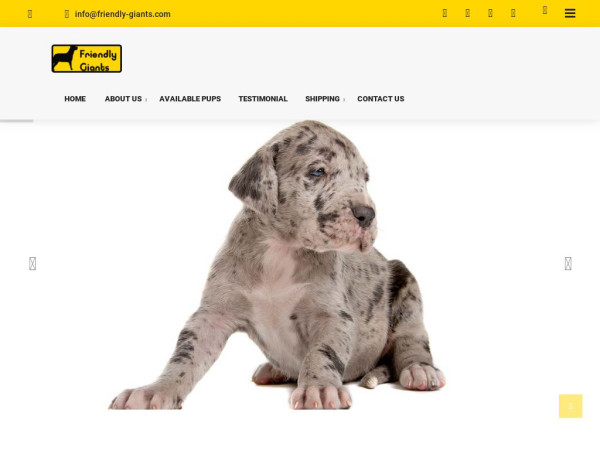 Friendly-giants.com - Great Dane Puppy Scam Review