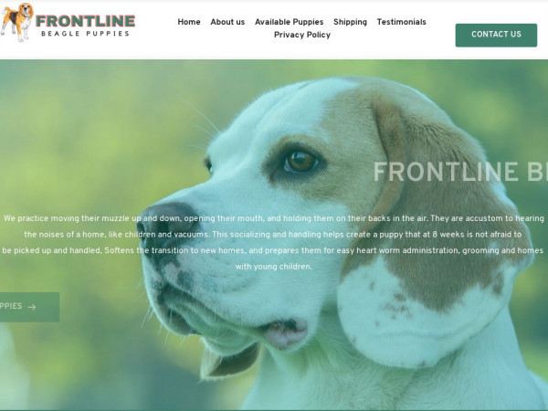 Frontlinebeaglepuppies.com - Beagle Puppy Scam Review