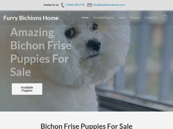 Furrybichionhome.com - Bichon Frise Puppy Scam Review