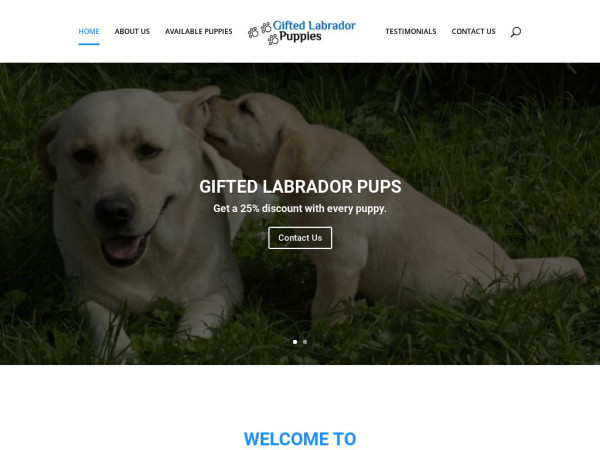 Giftedlabradorepups.com - Labrador Puppy Scam Review