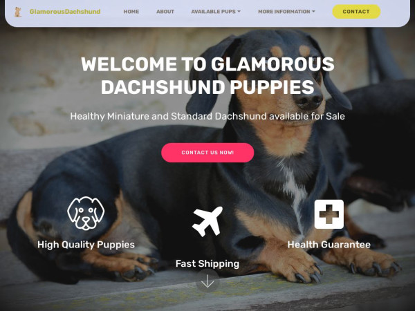 Glamorousdachshundpuppieshome.com - Dachshund Puppy Scam Review