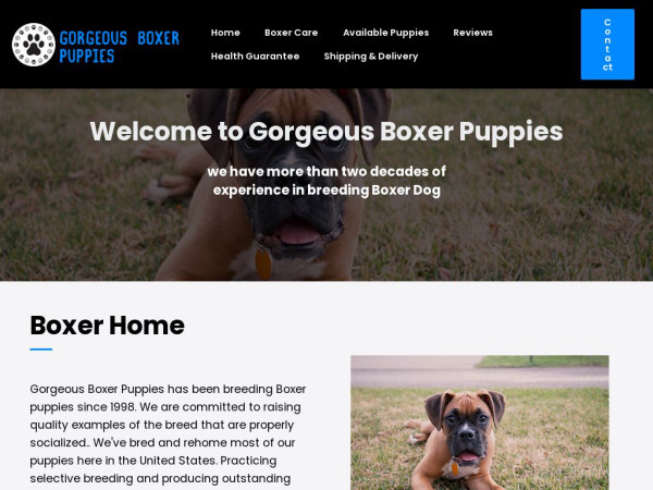 Gorgeousboxerpuppies.com - Boxer Puppy Scam Review