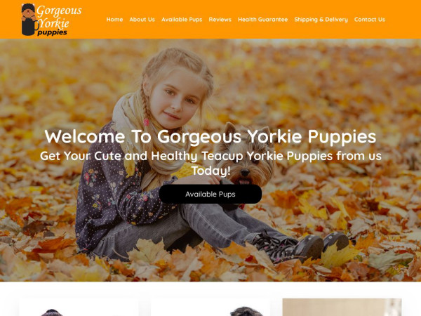 Gorgeousyorkiepuppies.com - Yorkshire Terrier Puppy Scam Review