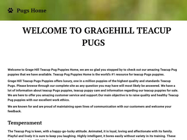 Grangehillpugs.com - Pug Puppy Scam Review