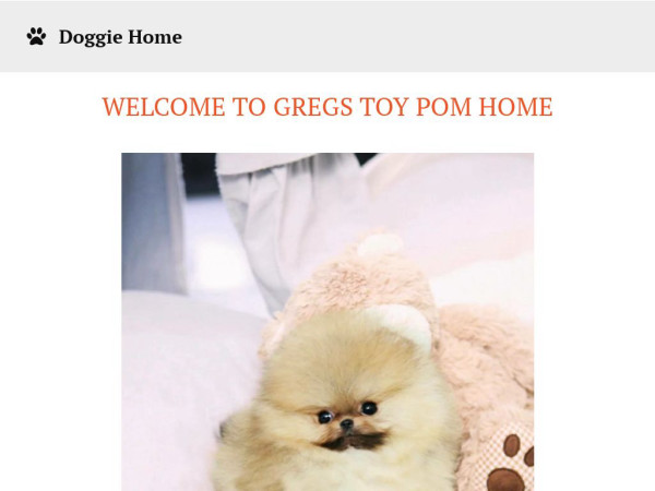 Gregstoypoms.com - Pomeranian Puppy Scam Review