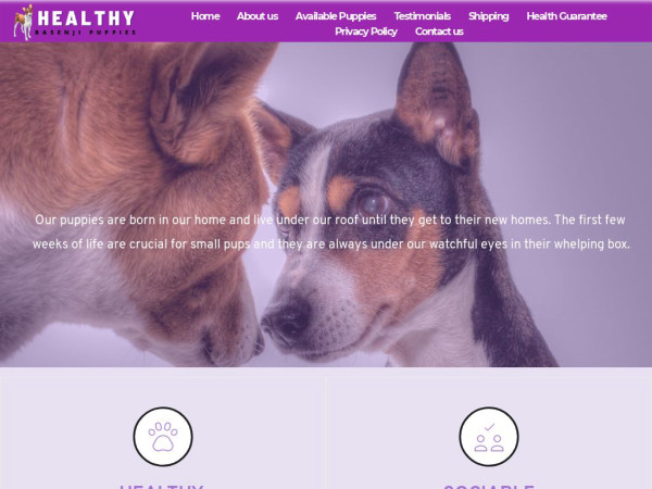 Healthybasenjipuppies.com - Basenji Puppy Scam Review