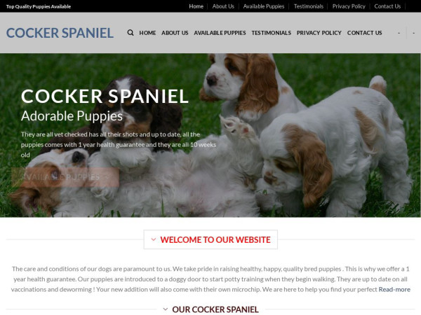 Healthycockerspaniel.com - Cockerspaniel Puppy Scam Review