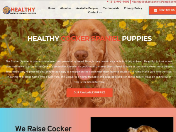 Healthycockerspanielpuppies.com - Cockerspaniel Puppy Scam Review