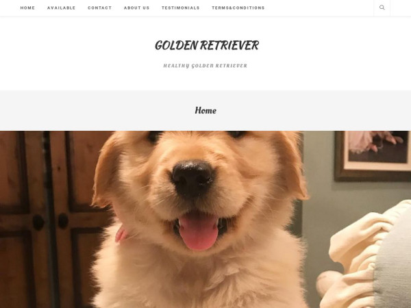 Healthygoldenretriever.com - Golden Retriever Puppy Scam Review