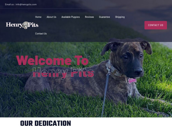 Henrypits.com - Pit Bull Puppy Scam Review