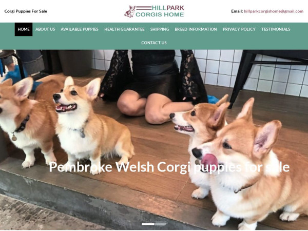 Hillparkcorgishome.com - Corgi Puppy Scam Review