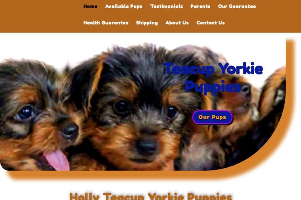 Hollyteacupyorkiepuppies.com - Yorkshire Terrier Puppy Scam Review