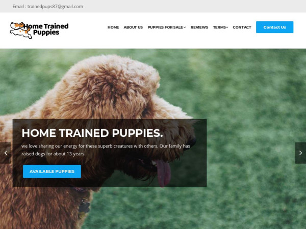 Hometrainedpuppies.com - Labradoodle Puppy Scam Review