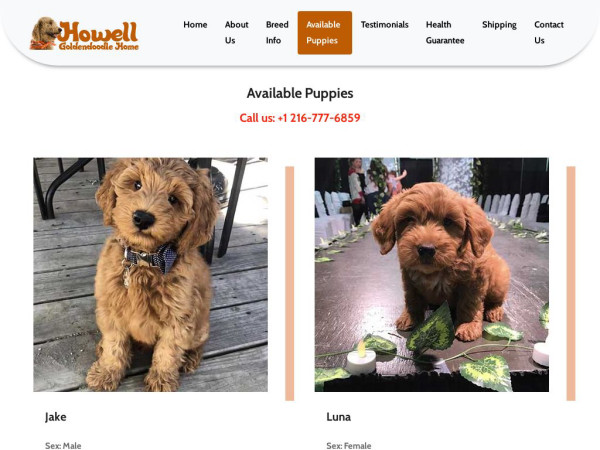 Howellgoldendoodlehome.com - Golden Doodle Puppy Scam Review